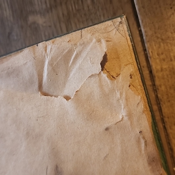 Vintage Rare Mola Beautifully framed possibly panama - Picture 11 of 16